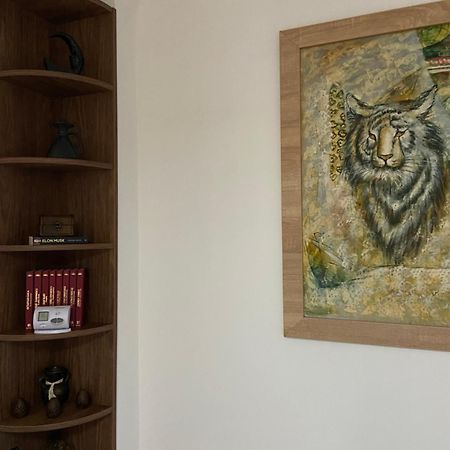 Vila Casa Mountain View Brašov Exteriér fotografie