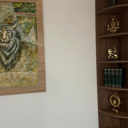Vila Casa Mountain View Brašov Exteriér fotografie