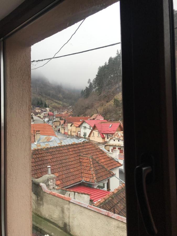 Vila Casa Mountain View Brašov Exteriér fotografie