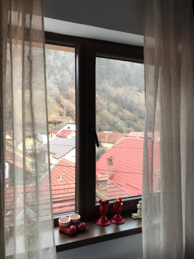 Vila Casa Mountain View Brašov Exteriér fotografie
