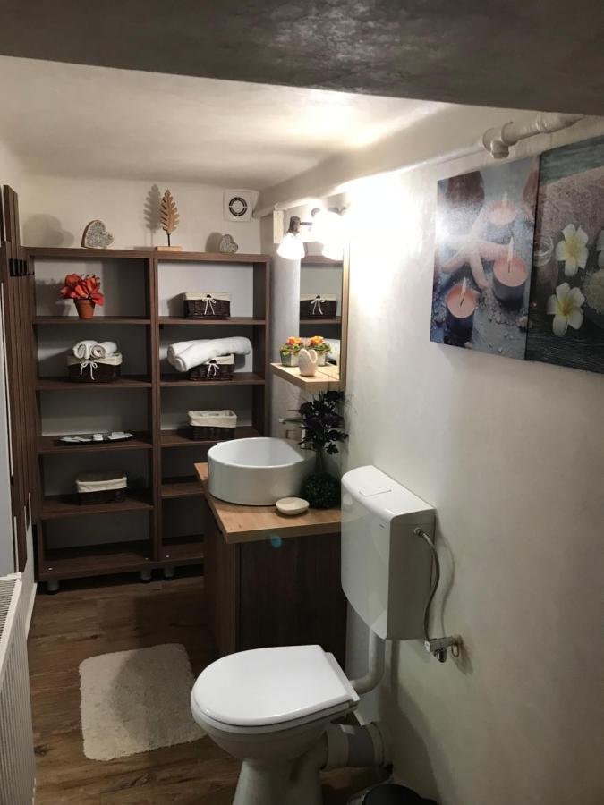 Vila Casa Mountain View Brašov Exteriér fotografie