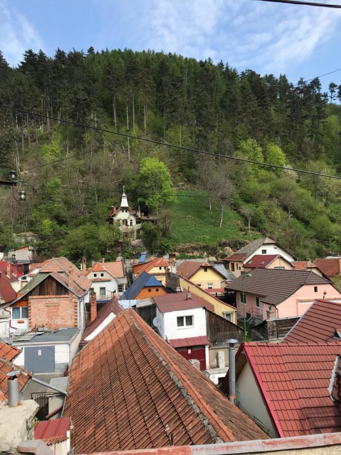 Vila Casa Mountain View Brašov Exteriér fotografie