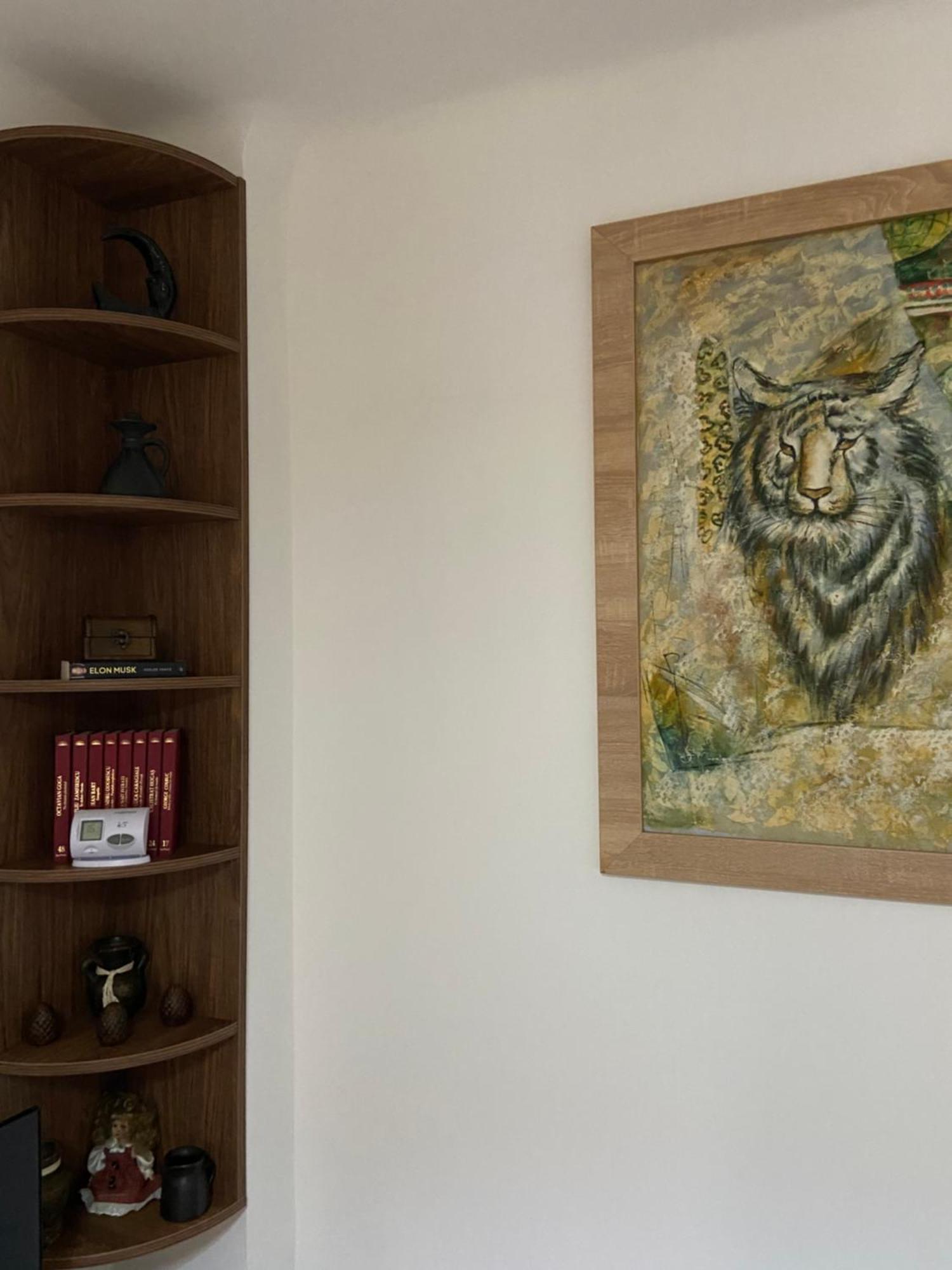 Vila Casa Mountain View Brašov Exteriér fotografie